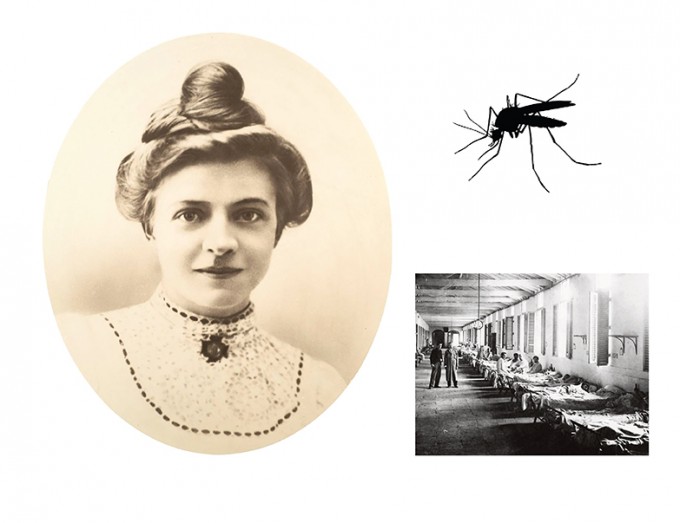 Clara Maass in a dress and hair up is looking at the camera. On the right there is a photo of a mosquito and below that, a hospital ward with patient beds
