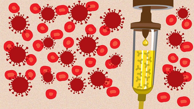 Illustration of red blood cells and covid bacteria surrounding a syringe of yellow plasma