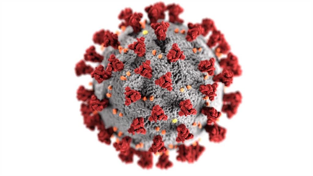A picture of the Coronavirus which is a gray sphere with red horns all around it